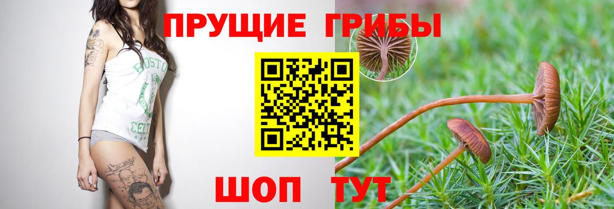 Галлюциногенные грибы ЛСД  Галлюциногенные грибы GOLDEN TEACHER  Майский  Вход с VPN 